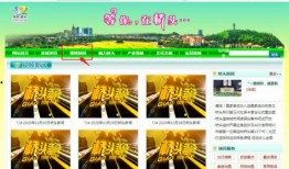 東莞新聞今日爆料最新,最新爆料揭露神秘事件真相