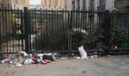 西安蓮湖區最新的爆料,揭秘西安蓮湖區的神秘事件