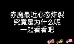 新版本爆料第二期視頻,揭秘游戲新內容與更新亮點