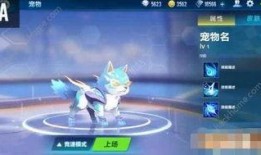 飛車手游寵物最新爆料,神秘屬性覺(jué)醒，助力玩家馳騁賽道！