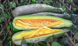 網(wǎng)紅吃瓜公共號,揭秘娛樂圈幕后真相，帶你領(lǐng)略明星們的真實(shí)生活