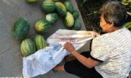 河間吃瓜最新事件爆料,揭秘背后驚人真相，網絡熱議持續升溫