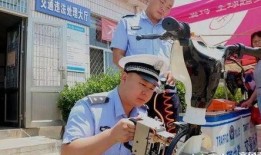 滕州最新爆料新聞視頻,視頻揭露驚人真相，引發社會關注