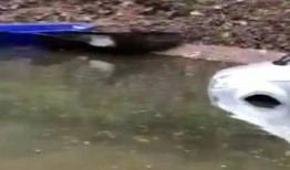 網(wǎng)友爆料釣魚(yú)視頻,險(xiǎn)象環(huán)生，揭秘釣魚(yú)高手如何應(yīng)對(duì)突發(fā)狀況