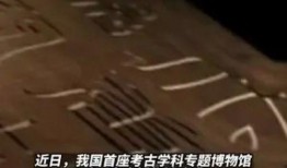 最新社會百態(tài)爆料新聞報(bào)道,最新爆料揭示現(xiàn)實(shí)眾生相