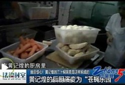 魚蛋后廚爆料視頻,獨(dú)家爆料視頻曝光驚人細(xì)節(jié)