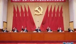 成武五中爆料新聞視頻最新,揭秘校園熱點事件背后的真相