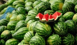 網(wǎng)紅吃瓜公共號,揭秘娛樂圈幕后真相，帶你領(lǐng)略明星們的真實(shí)生活