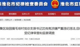 新聞視頻怎么爆料的呢,技術(shù)手段與輿論監(jiān)督的碰撞