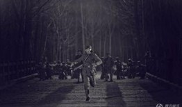 戰(zhàn)地烽火情在線觀看,烽火歲月里的熱血傳奇