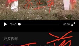 天涯爆料鹿鳴視頻大全,鹿鳴視頻大全背后的秘密與精彩瞬間