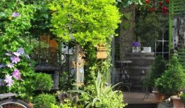 家庭花園爆料視頻大全集,揭秘園藝達人私藏視頻大全集