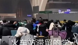 石家莊高校爆料事件視頻,真相與爭議交織