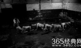 人體蜈蚣3在線觀看完整版,驚悚極限，生死較量