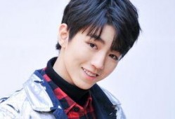 王海鑫爆料王俊凱視頻,事件背后真相揭秘