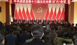 成武五中爆料新聞視頻最新,揭秘校園熱點事件背后的真相